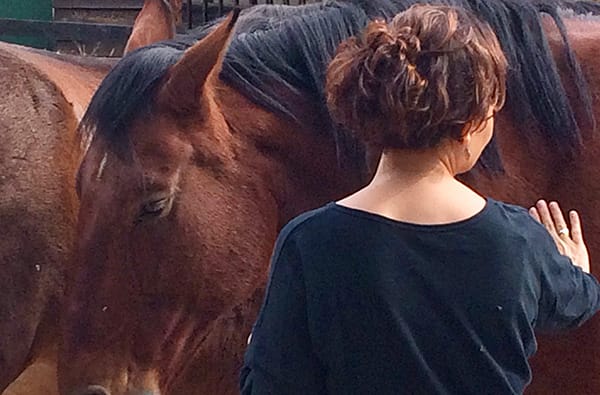 Mindfulness y desarrollo personal con caballos