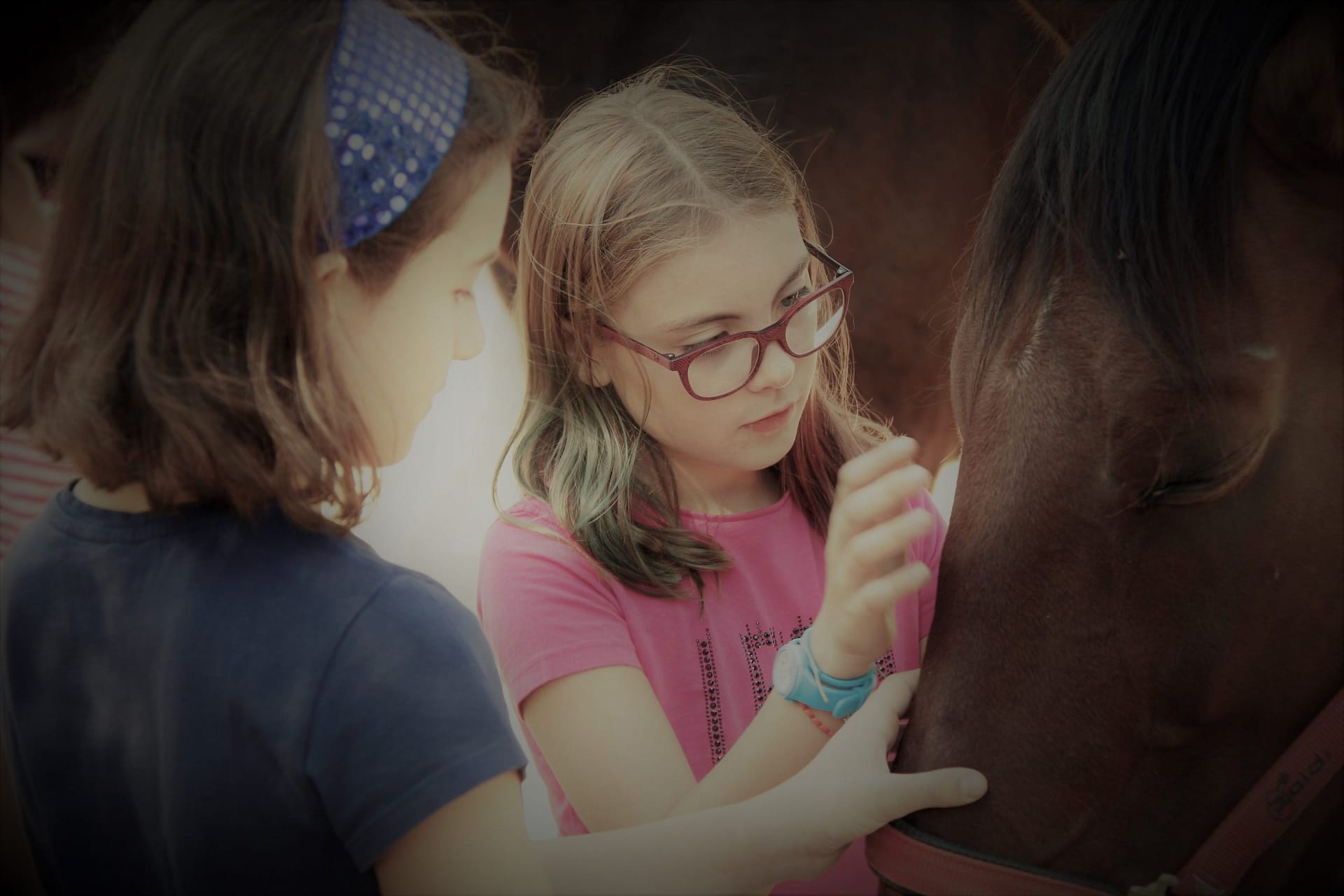 Horses to educate emotionally from childhood