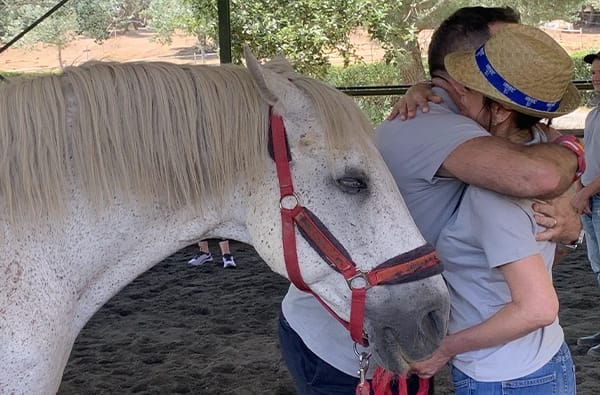EquiBalance: Coaching sistémico y constelaciones con caballos